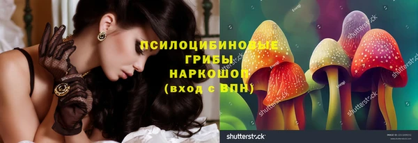 apvp Баксан