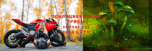 apvp Баксан