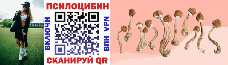 Псилоцибиновые грибы прущие грибы Льгов